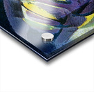 3607 8K Acrylic print