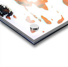 3655 8K Acrylic print