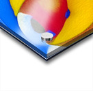 3669 8K Acrylic print