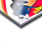 3653 8K Acrylic print