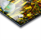 3672 8K Acrylic print