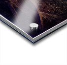 3705 8K Acrylic print