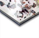 3687 8K Acrylic print