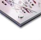 3696 8K Acrylic print