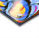 3716 8K Acrylic print