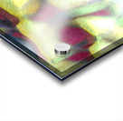 3765 8K Acrylic print