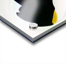 3774 8K Acrylic print