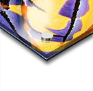 3783 8K Acrylic print