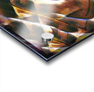 3796 8K Acrylic print