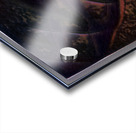 3769 8K Acrylic print