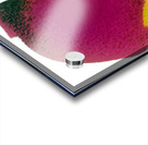 3802 8K Acrylic print