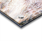 3818 8K Impression Acrylique