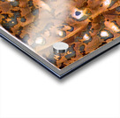 3826 8K Acrylic print