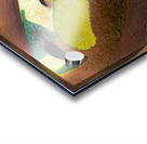 3831 8K Acrylic print