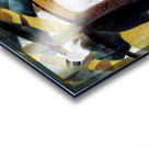 3830 8K Acrylic print