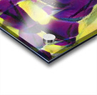 3816 8K Acrylic print