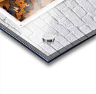 3826 8K Acrylic print