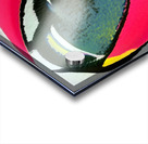 3836 8K Acrylic print