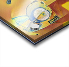 3855 8K Acrylic print