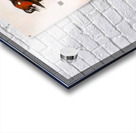 3862 8K Acrylic print