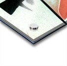 3843 8K Acrylic print