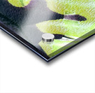 3844 8K Acrylic print