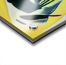 3861 8K Acrylic print