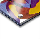 3845 8K Acrylic print