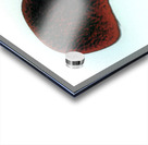 3869 8K Acrylic print