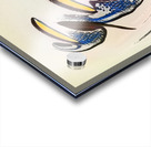 3899 8K Acrylic print