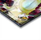 3904 8K Acrylic print