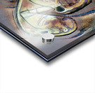 3917 8K Acrylic print