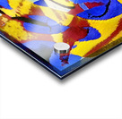 3886 8K Acrylic print