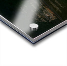 3953 8K Acrylic print