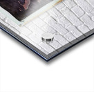 3991 8K Acrylic print