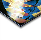 3968 8K Acrylic print