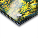 3999 8K Acrylic print