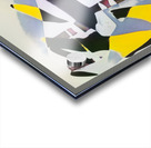 3983 8K Acrylic print