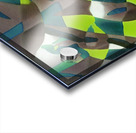 3993 8K Acrylic print