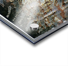 3982 8K Acrylic print