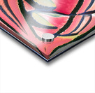 4021 8K Acrylic print