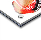 4057 8K Impression Acrylique