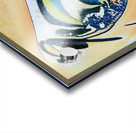 4044 8K Acrylic print