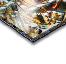 4104 8K Acrylic print