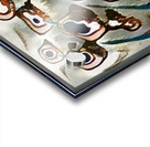 4102 8K Acrylic print