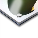 4096 8K Acrylic print