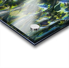 4122 8K Acrylic print