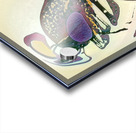 4154 8K Acrylic print