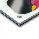 4123 8K Acrylic print