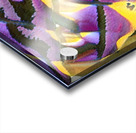 4161 8K Acrylic print